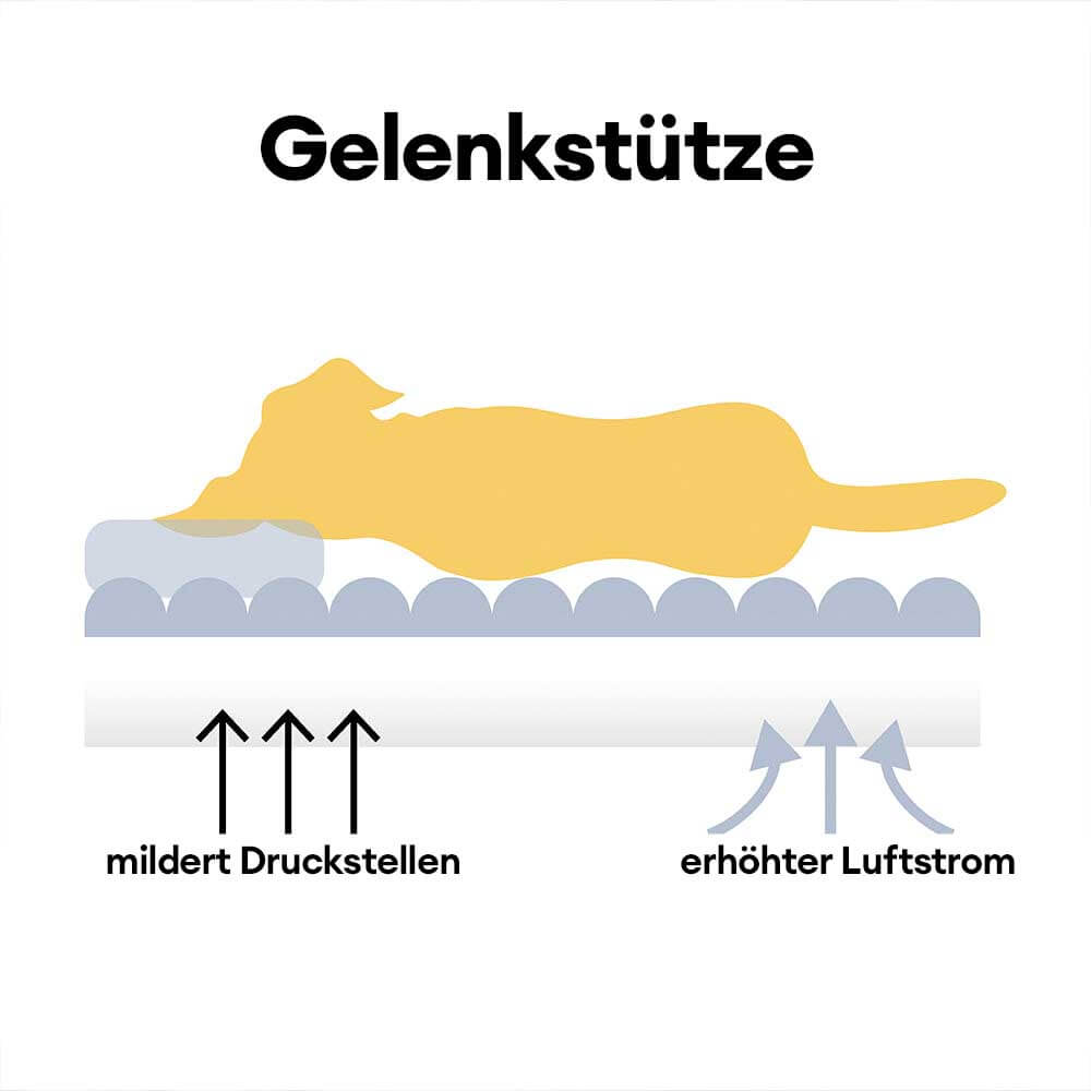 "Orthopädisches waschbares Hundebett aus Kunstfell mit Kissen und Armlehnen, ideal für Gelenkunterstützung, grau."