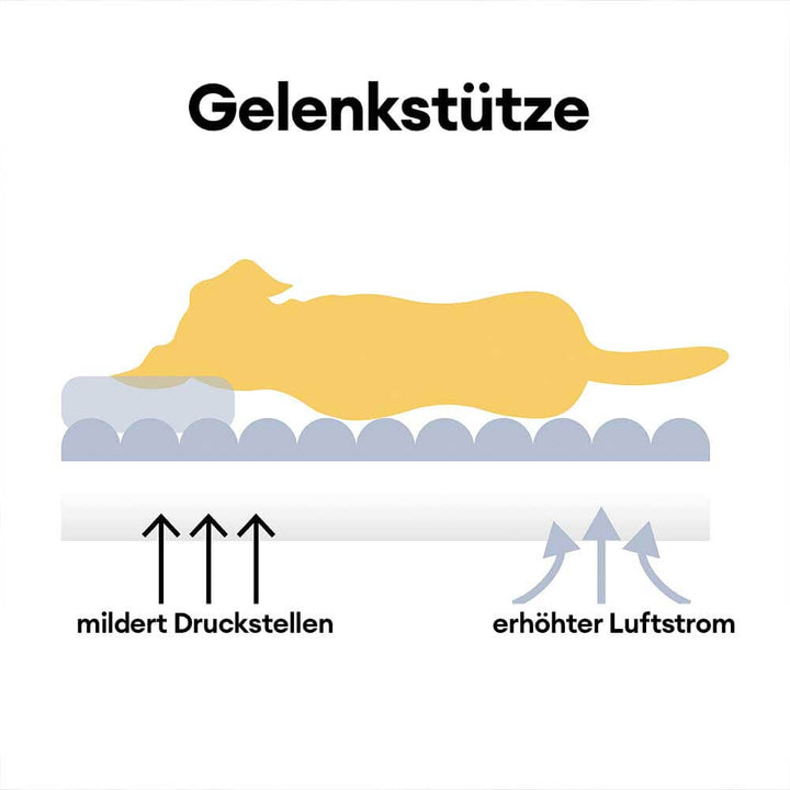"Orthopädisches waschbares Hundebett aus Kunstfell mit Kissen und Armlehnen, ideal für Gelenkunterstützung, grau."