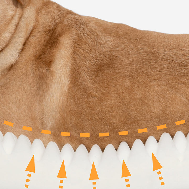 Pet bed: orthopedic, full wraparound bolster, providing luxurious dog comfort