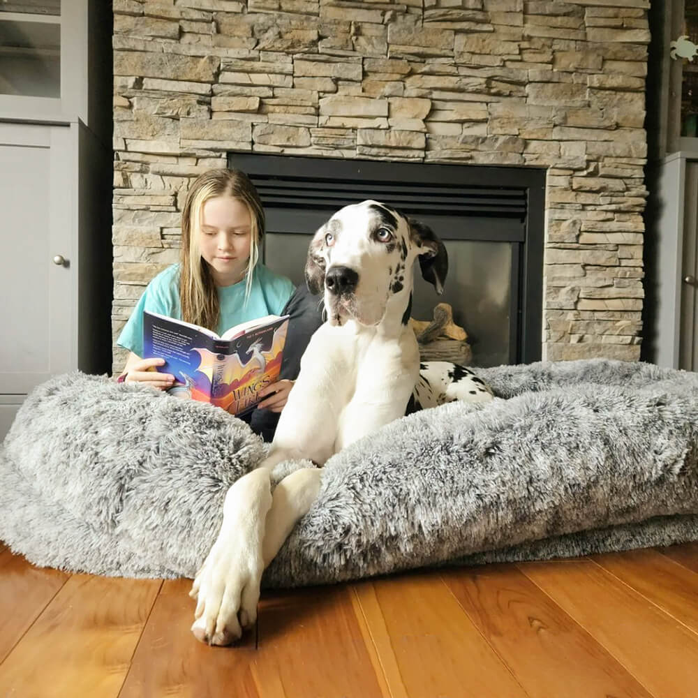 Donut dog bed, orthopedic and waterproof, ideal for active or senior dogs.