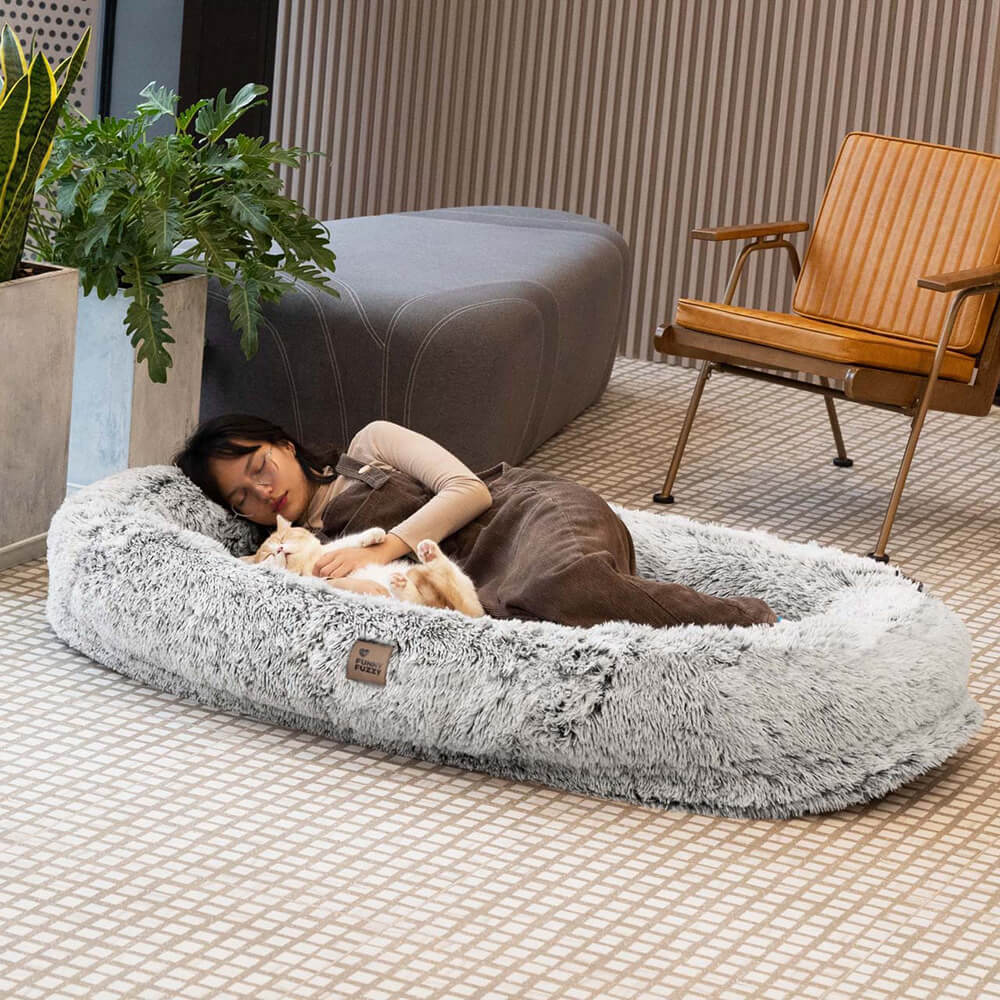 Cozy orthopedic donut dog bed, ideal for pets seeking comfort and security.