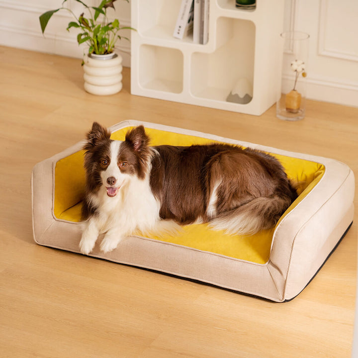 Orthopedic dog bed on hardwood floor, non-slip bottom, stable pet furniture for large dogs