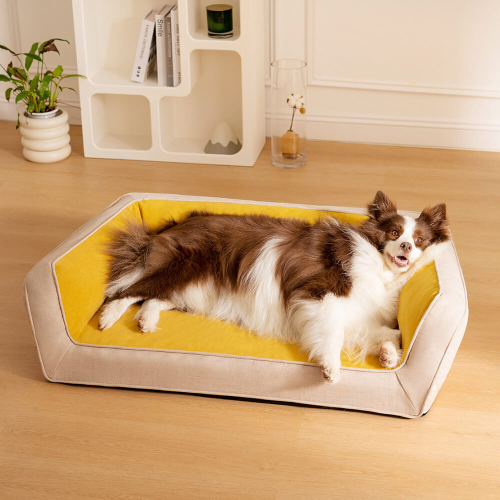 Large dog relaxing on grey orthopedic sofa dog bed, ultimate comfort and joint support