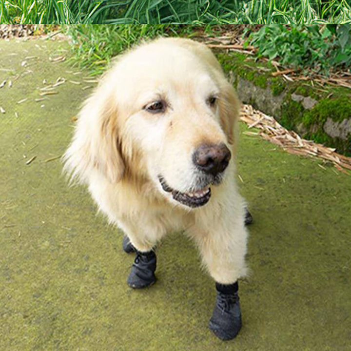 "Outdoor Hundeschuhe, wasserdicht und rutschfest, mit atmungsaktivem Design und verstellbaren Riemen für optimalen Pfotenschu