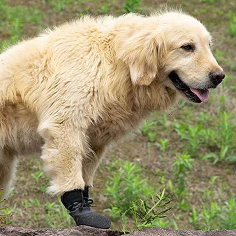 "Outdoor Hundeschuhe, wasserdicht und rutschfest, mit atmungsaktivem Design und verstellbaren Riemen für optimalen Pfotenschu