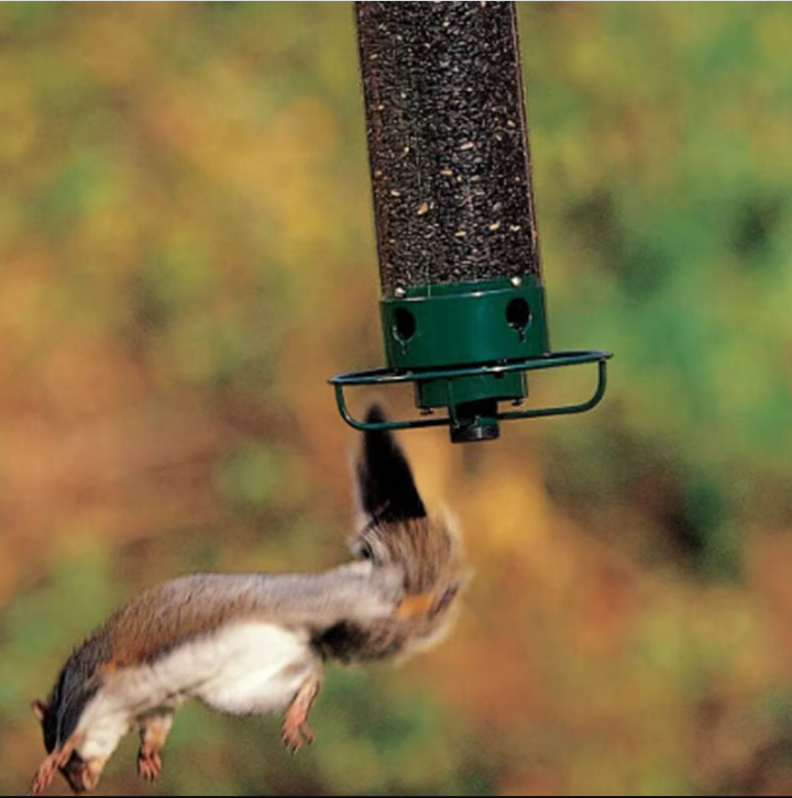 Durable outdoor bird feeder, squirrel-proof with a large capacity, perfect for garden accessory