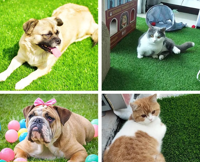 Dog mat featuring artificial grass, perfect pet relief area for indoor and outdoor potty training.