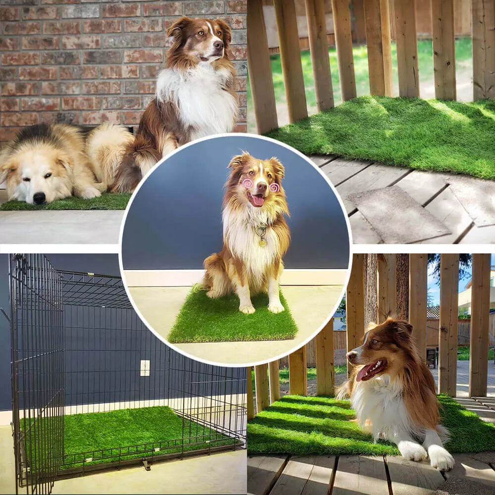 Portable artificial grass training mat, an effective and easy clean solution for dog potty training anywhere.