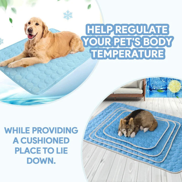 Pet Cooling Mat for dogs and cats, blue, size medium, on hardwood floor. Cooling gel mat for summer comfort.