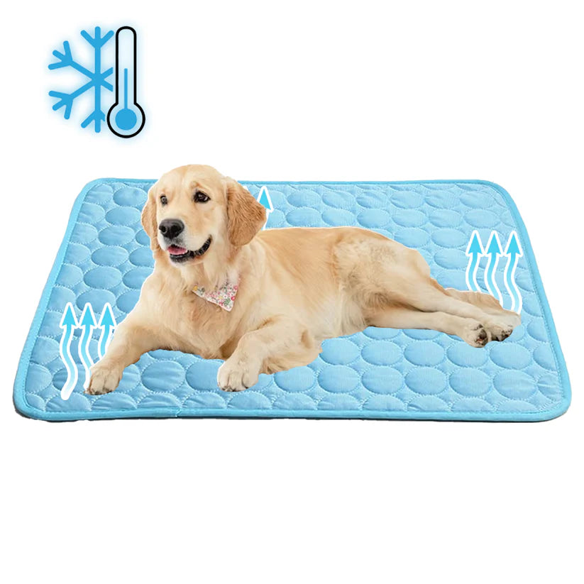Close-up of a non-slip pet cooling mat, ideal for sumer pet comfort, in a kennel