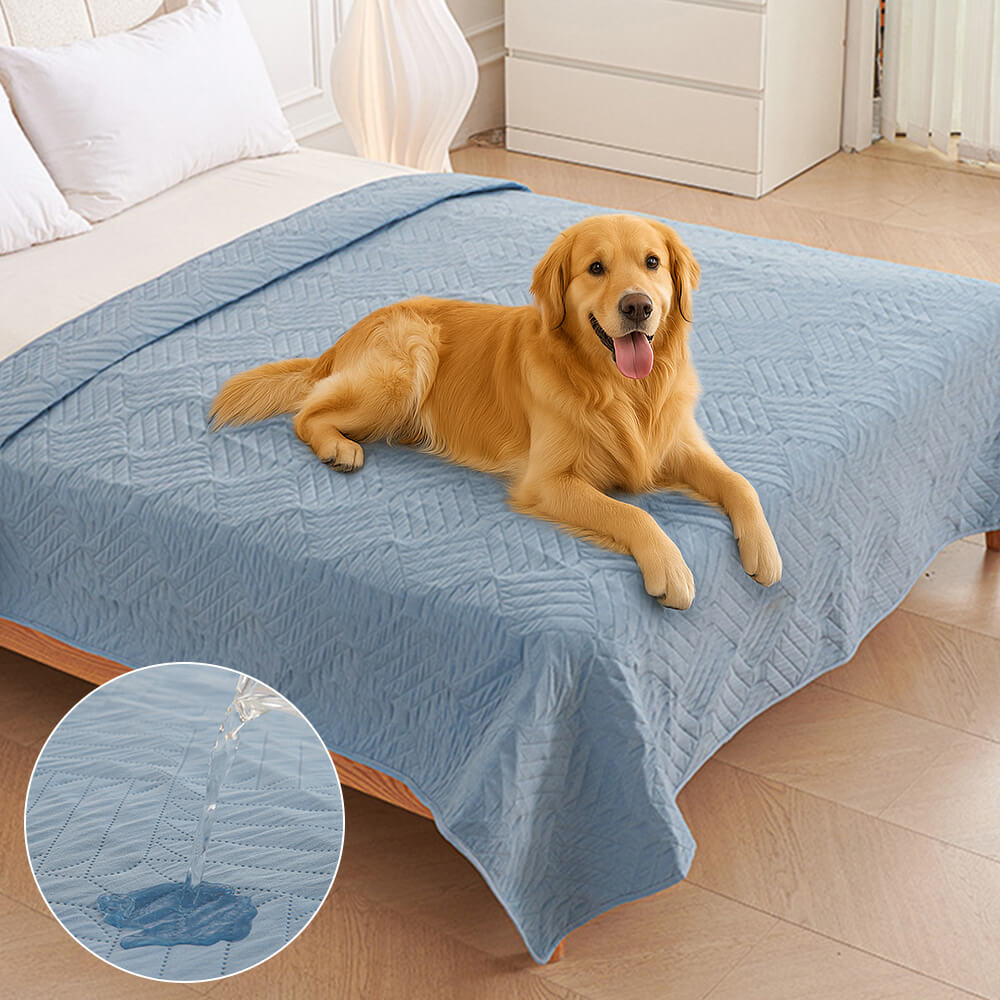Pet Proof Water-Resistant Blanket Bed Cover in grey, protecting a sofa from pet stains and fur.