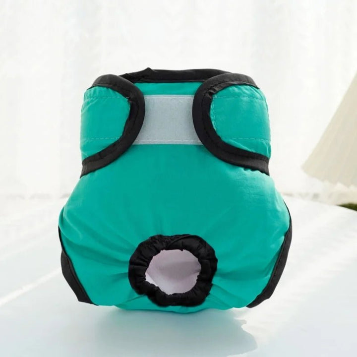 Side view of a female dog wearing a discreet, washable pet diaper for daily use
