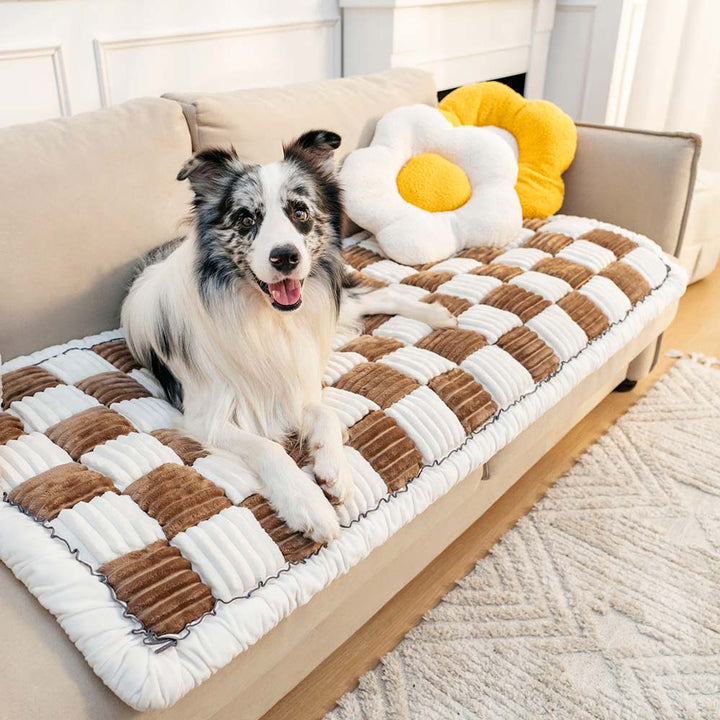 Plush chenille pet sofa cover in a neutral tone, protecting furniture from dog or cat hair.