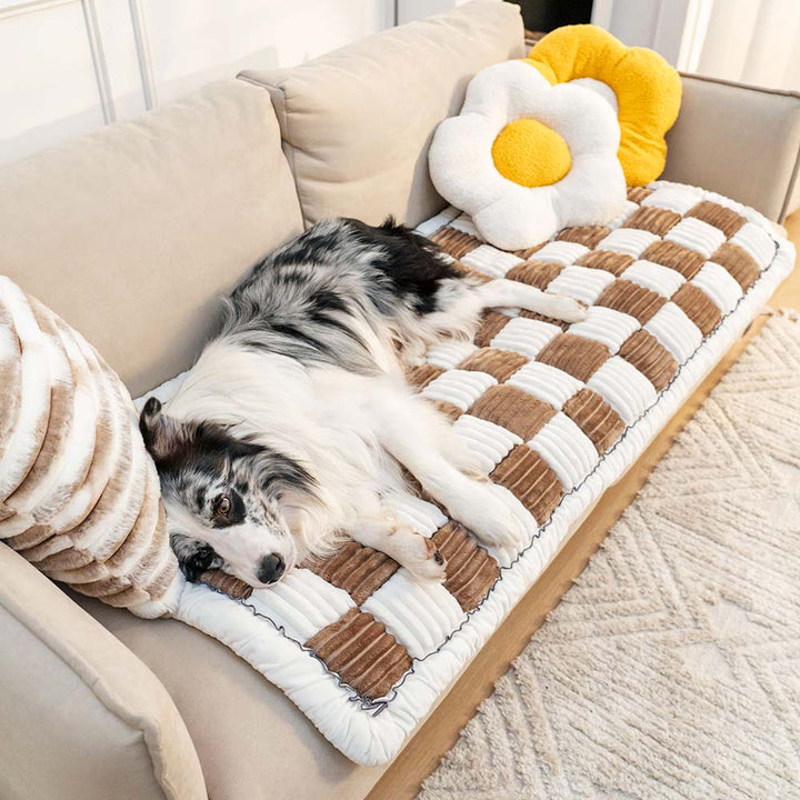 Neutral-colored chenille pet sofa cover, offering non-slip protection for furniture.