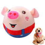 Pig female (red)