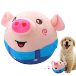 Pig female (blue)