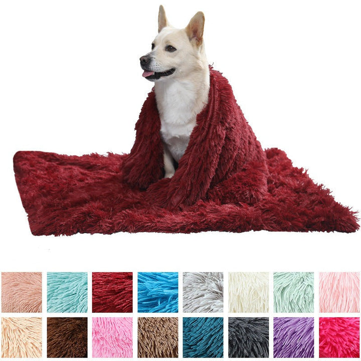 Washable plush pet blanket in a living room setting, cozy dog and cat bed mat