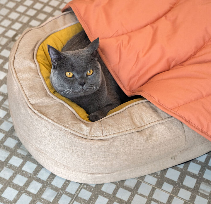 Fluffy orthopedic dog bed with raised rim for head and neck support, anxiety relief.