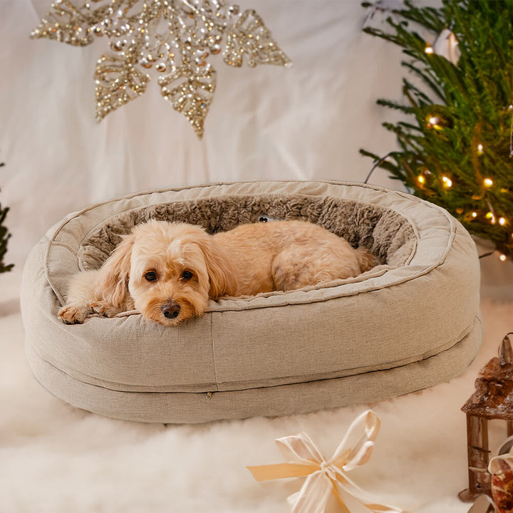 Modern fluffy orthopedic pet bed, designed for maximum comfort and joint support.
