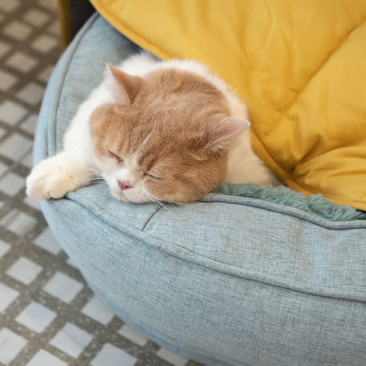 Soft donut dog bed, orthopedic and plush, for ultimate pet comfort and anxiety relief.