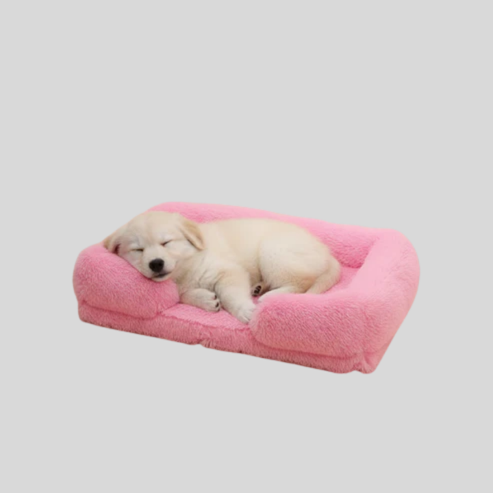 Modern rectangular pet bed for contemporary homes, cozy and calming design, pet supplies.