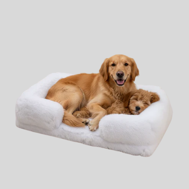 Premium rectangular pet bed for discerning pet owners, cozy, calming, and machine washable.