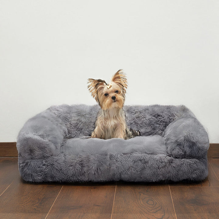 A happy dog sleeping soundly in a plush calming pet bed, cozy and anti-anxiety.