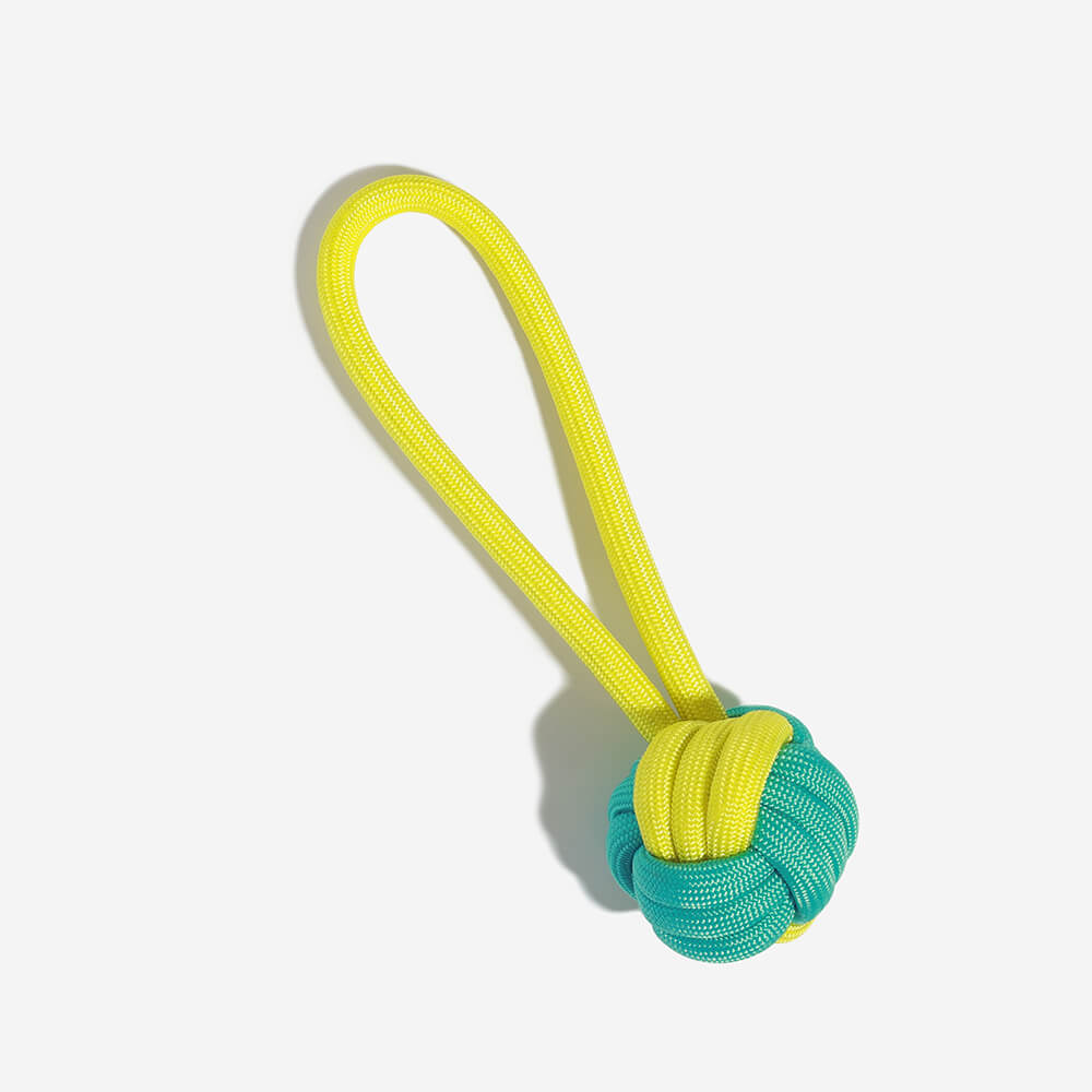Assorted dog toys: Plush squeaker and strong rope chew toys for interactive play