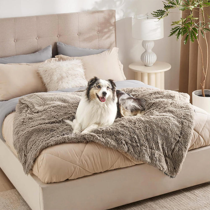 Plush waterproof dog blanket in a neutral color, protecting a sofa from pet fur and spills