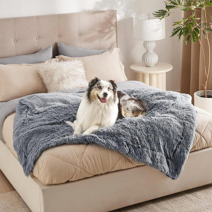 A cozy pet blanket, plush and waterproof, in a living room adding to pet-friendly home decor