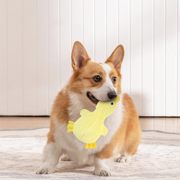 Durable dog chew toy, plush duck design with embedded squeaker, ideal pet supply.