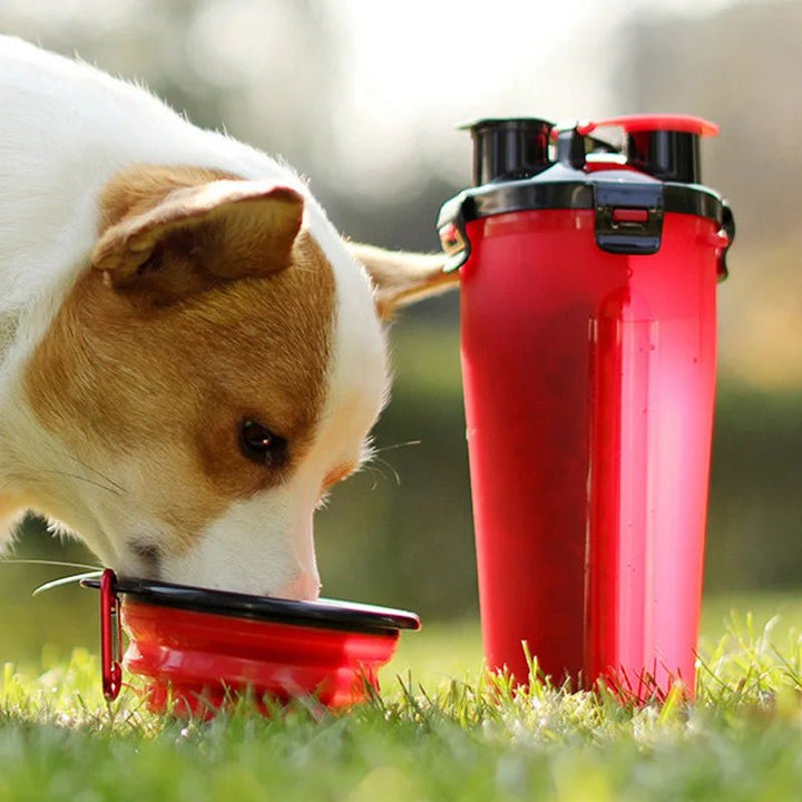 Durable pet travel bowl for water and food, an essential for dog adventures