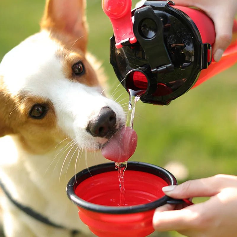 Blue portable dog water bottle with attached food compartment, perfect for outdoor use