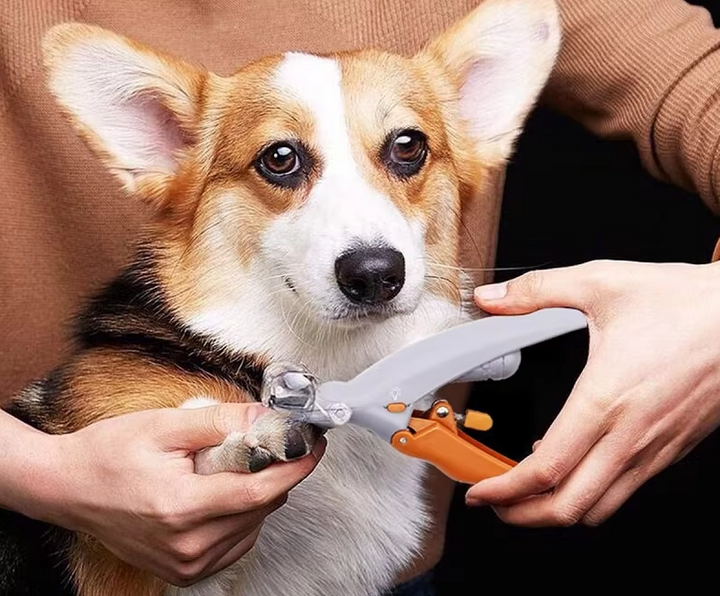 "Präziser Krallenschneider mit LED-Licht und Vergrößerungsglas für sichere Pflege von Haustierkrallen, Nahaufnahme."