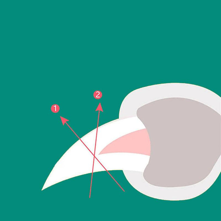 Professioneller Hundekrallenknipser mit Schnellsensor, ergonomischem Griff und robusten Edelstahlklingen für präzises Trimmen