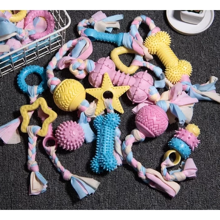 Puppy chew toy set, an essential for dental care, keeping puppies entertained and healthy.