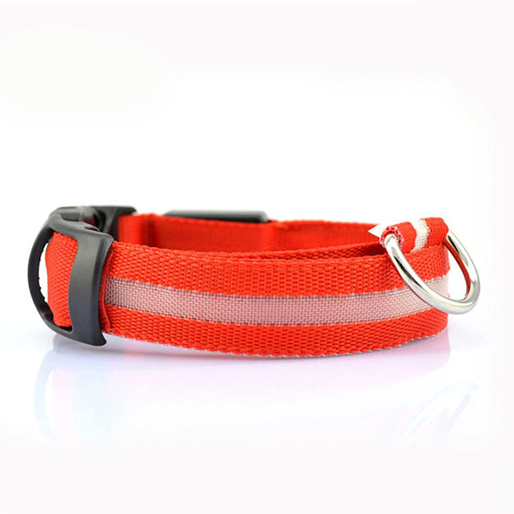 Durable LED pet accessory collar, ensuring dog safety and visibility on night adventures.