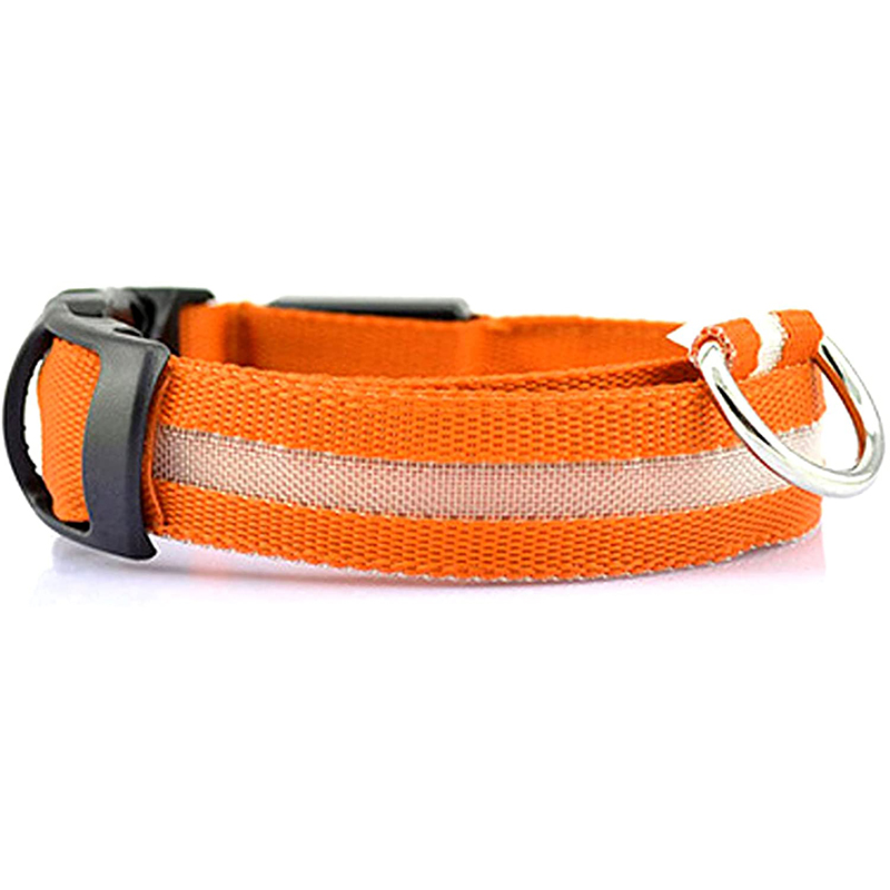 Bright LED dog collar for ultimate safety, perfect for night walks with enhanced visibility.