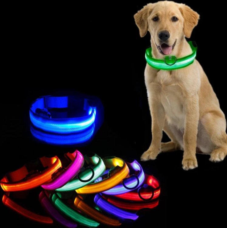 Rechargeable LED light-up dog safety collar for visible night walks, enhancing pet safety and style.