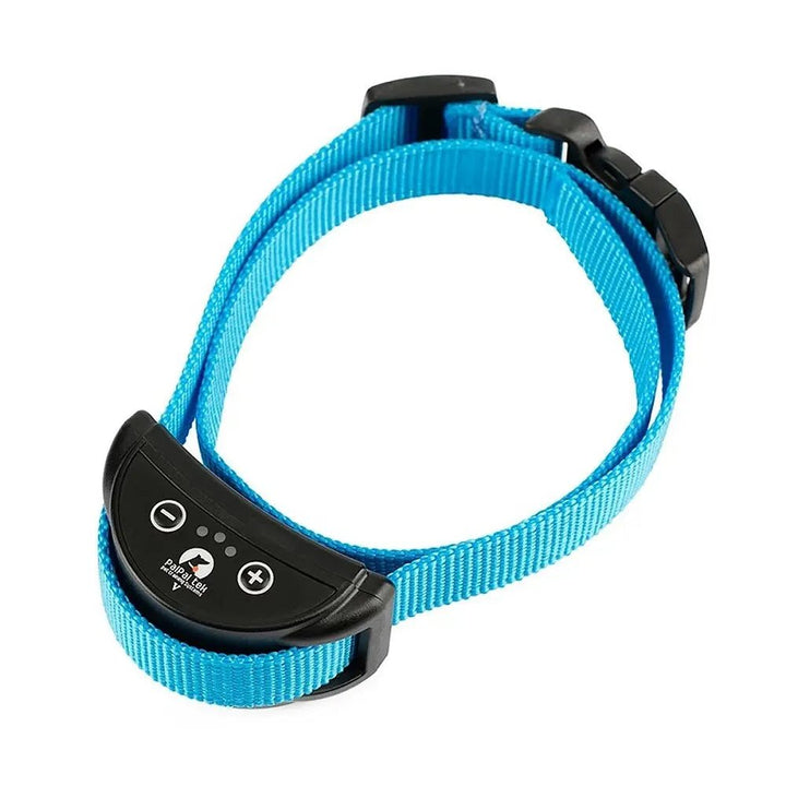 Dog wearing a waterproof and rechargeable bark control collar during an outdoor training session
