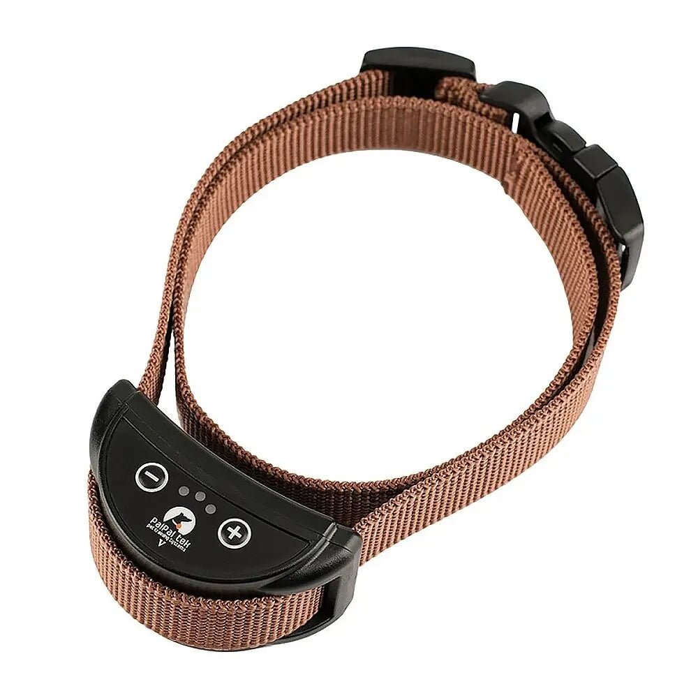 Collection of rechargeable waterproof bark control collars in various colors for effective dog training
