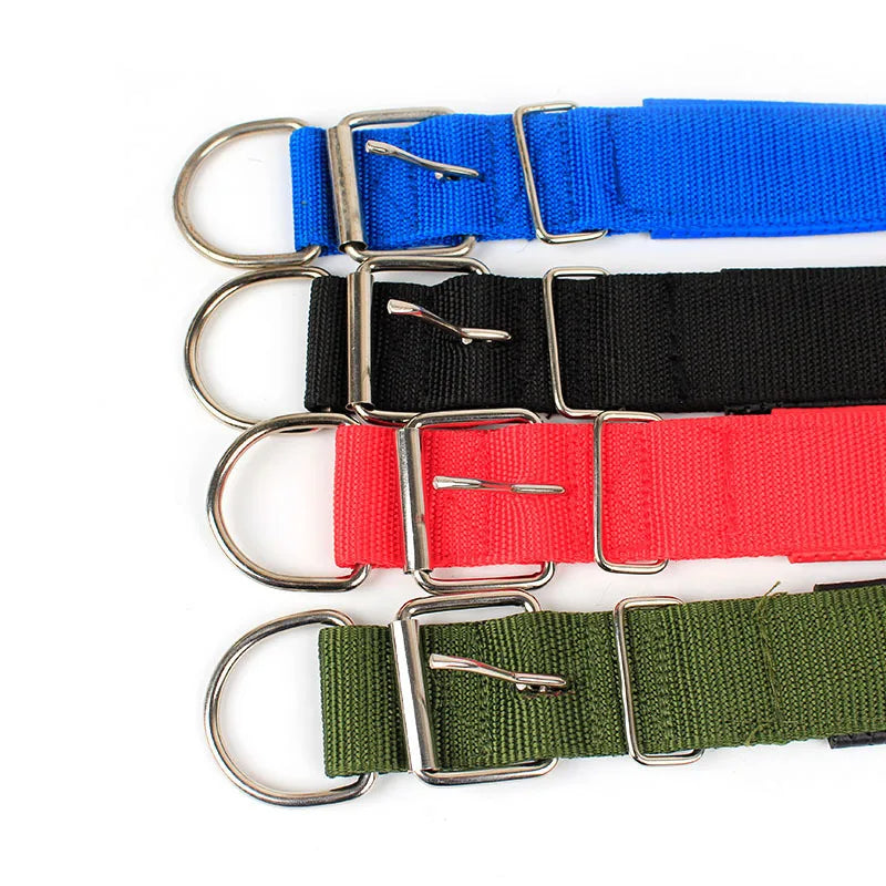 Blue breakaway safety dog collar, comfortable and secure for active pets