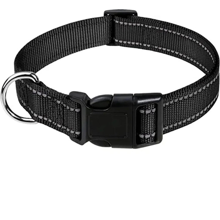 Blue unisex dog collar, lightweight & solid for small to large breeds, pet supplies
