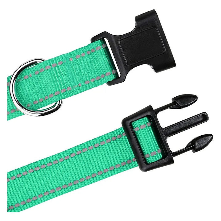 Green colorful adjustable dog collar, comfortable and lightweight for all breeds, essential pet accessory