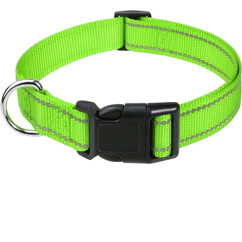 Orange lightweight adjustable dog collar, comfortable pet accessory for all breeds, essential everyday wear