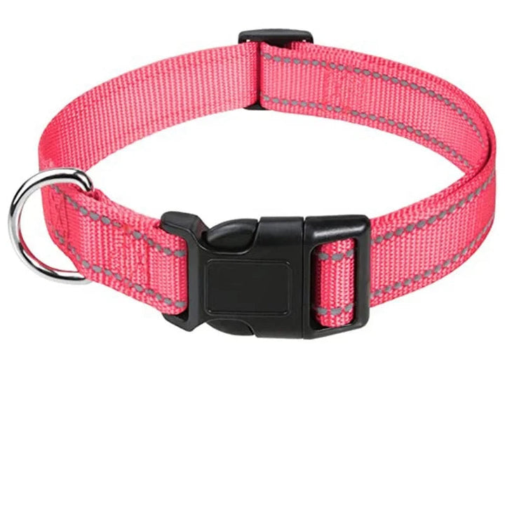 Purple durable adjustable dog collar, everyday pet accessory for puppies and adult dogs