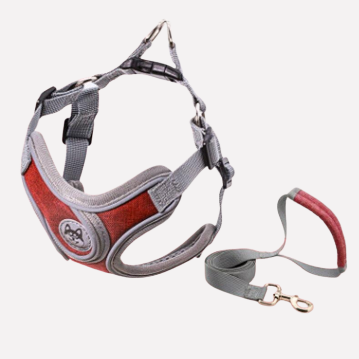 Red adjustable dog vest harness with reflective stitching and matching leash for walking