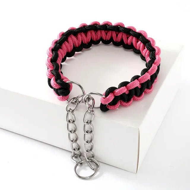 Adjustable nylon dog collar with reflective stitching, enhancing safety during night training.