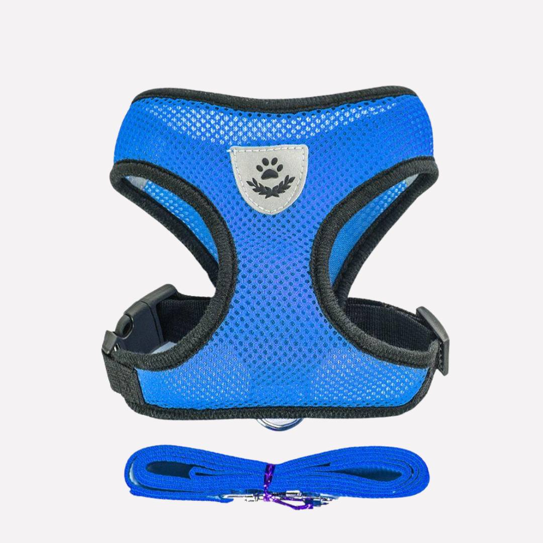 Unisex black puppy harness and leash set, perfect pet supplies for small dog outdoor adventures.
