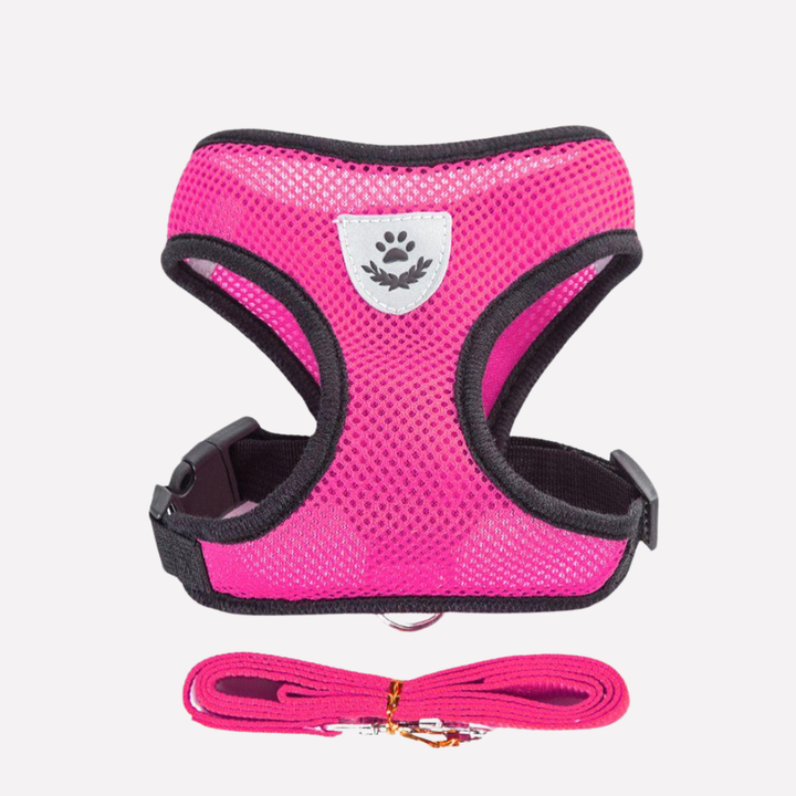 Silver grey breathable puppy vest harness, a durable and comfortable pet accessory for dog walking.